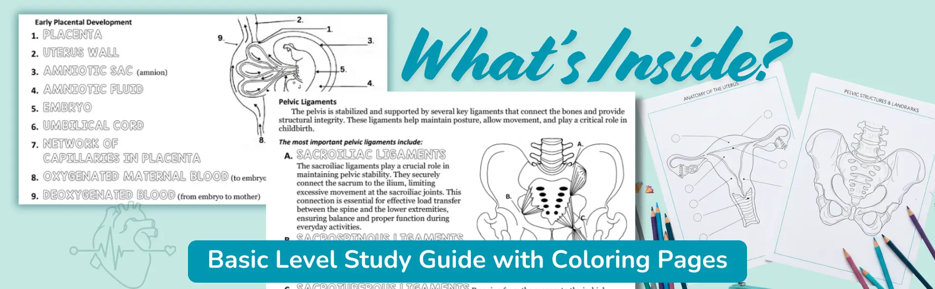 What’s inside the Birthsong Midwifery Workbook, 7th Edition